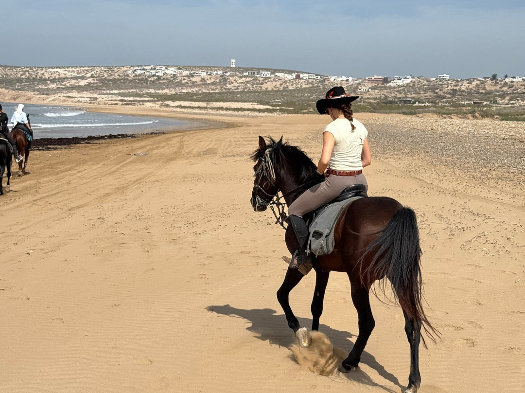 Cheval Essaouira-索维拉必去景点