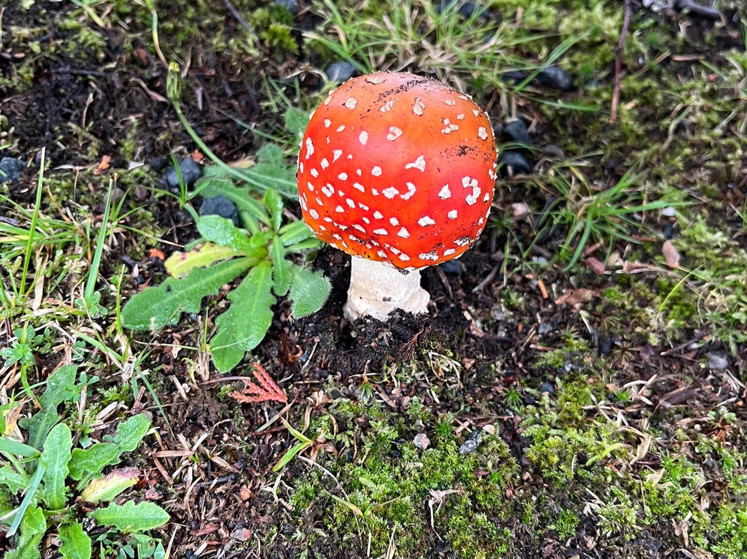 Arctic Convoy Museum-Aultbea必去景点