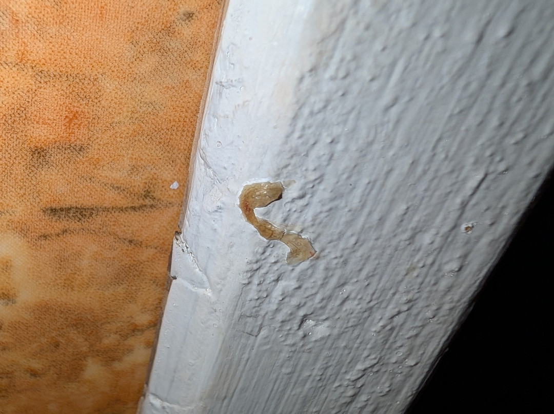 Hotel El Djazair主图