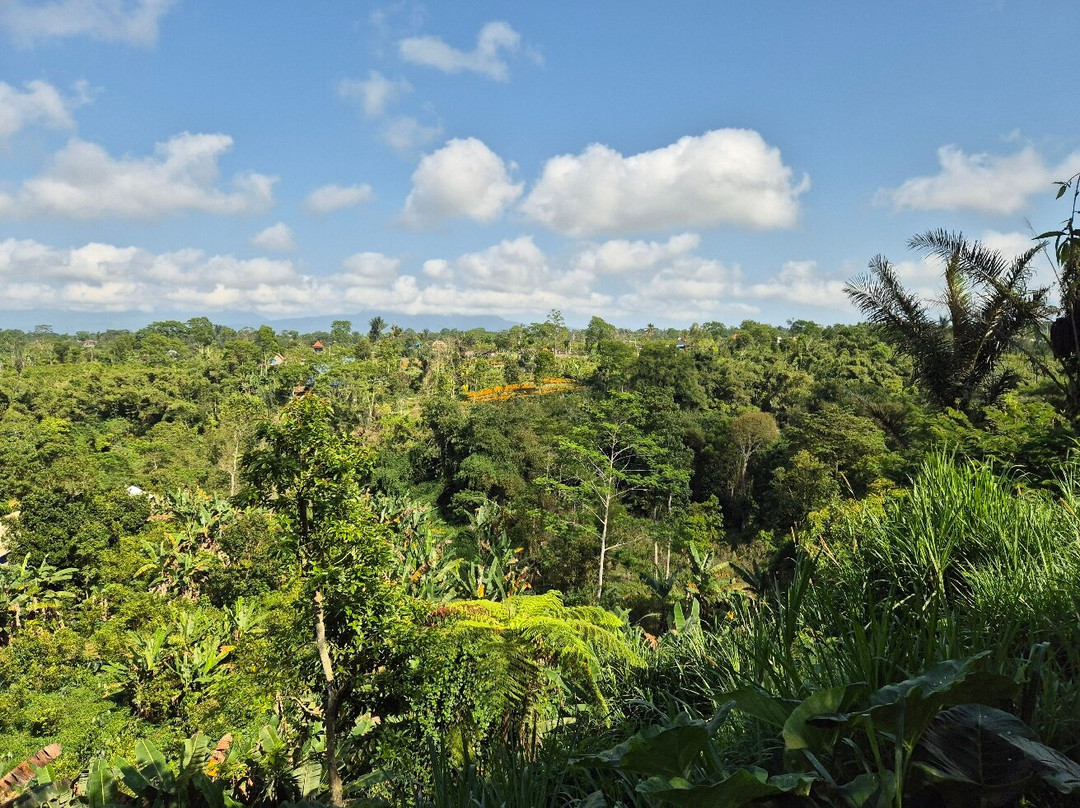 One Bali Agrowisata-Beraban必去景点