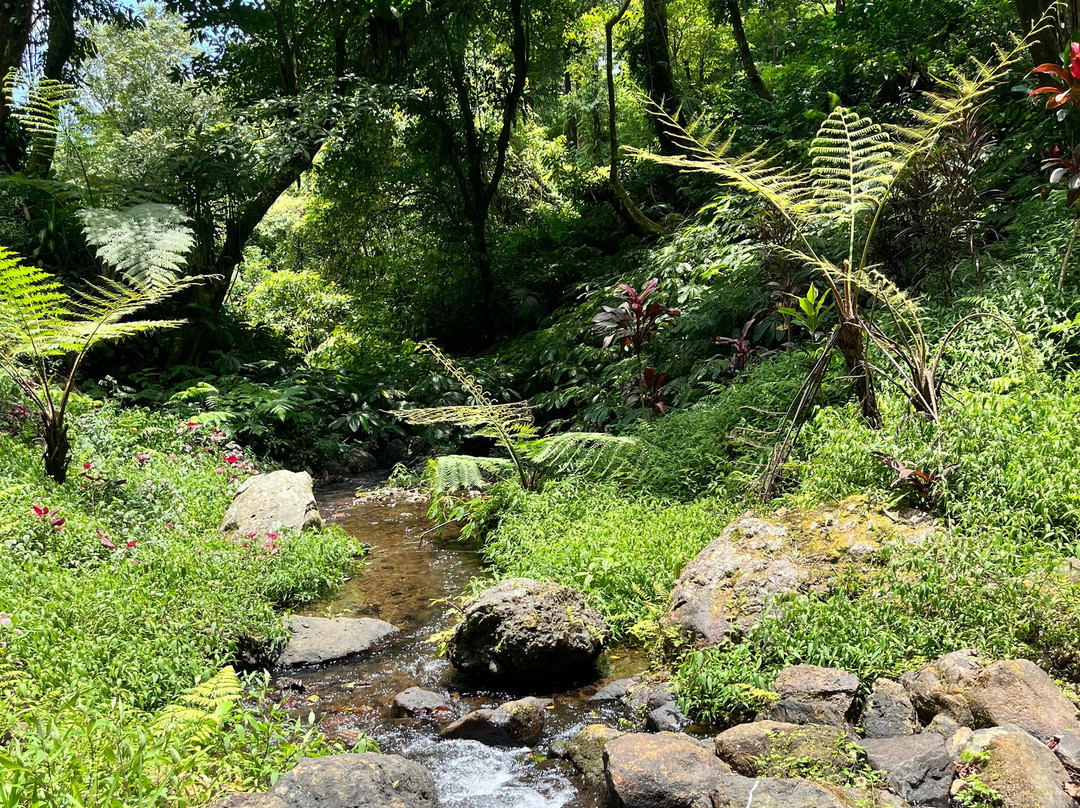 Bali Munduk Tour Package-姆杜克必去景点