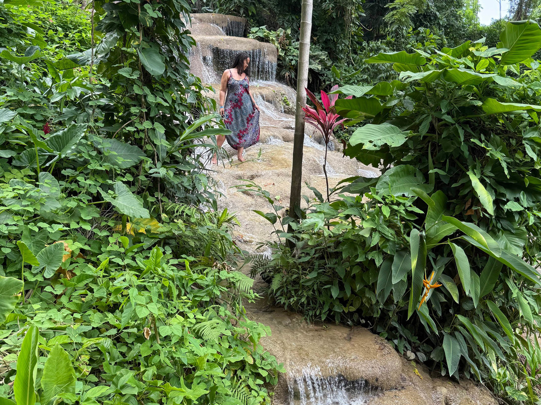 Konoko Falls & Park-奥乔里奥斯必去景点