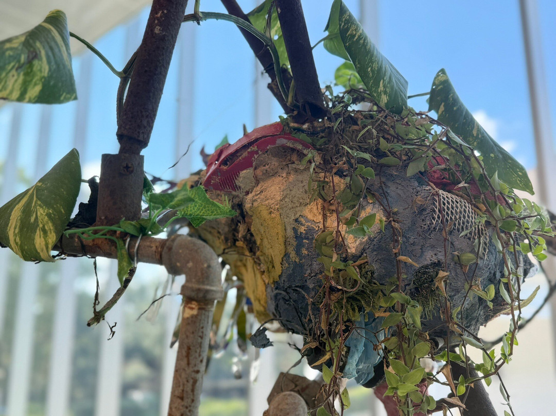 Paul and Lulu Hilliard University Art Museum-拉法叶必去景点