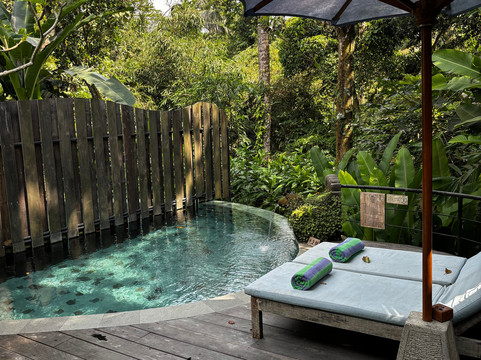 GenuineHost的神圣贝吉