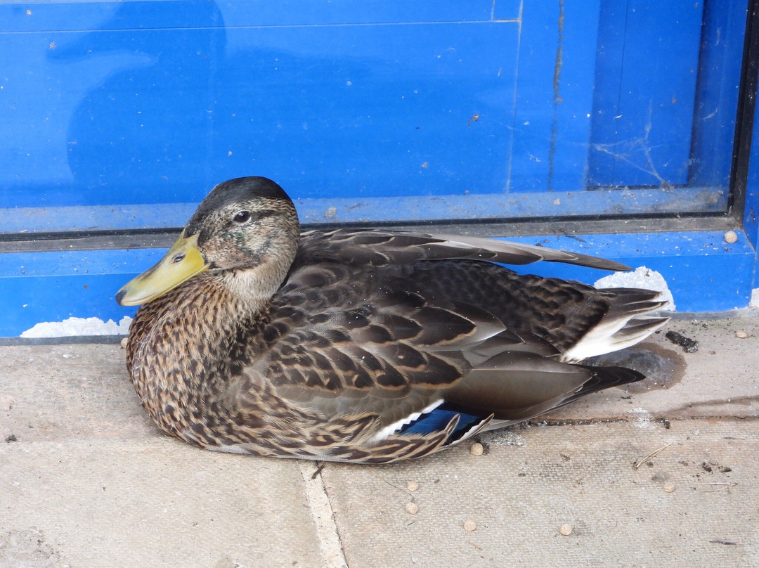 Bicton Park Botanical Gardens-Bicton必去景点