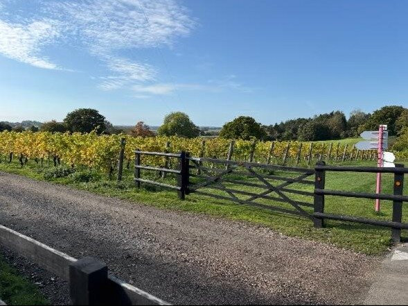 Chapel Down