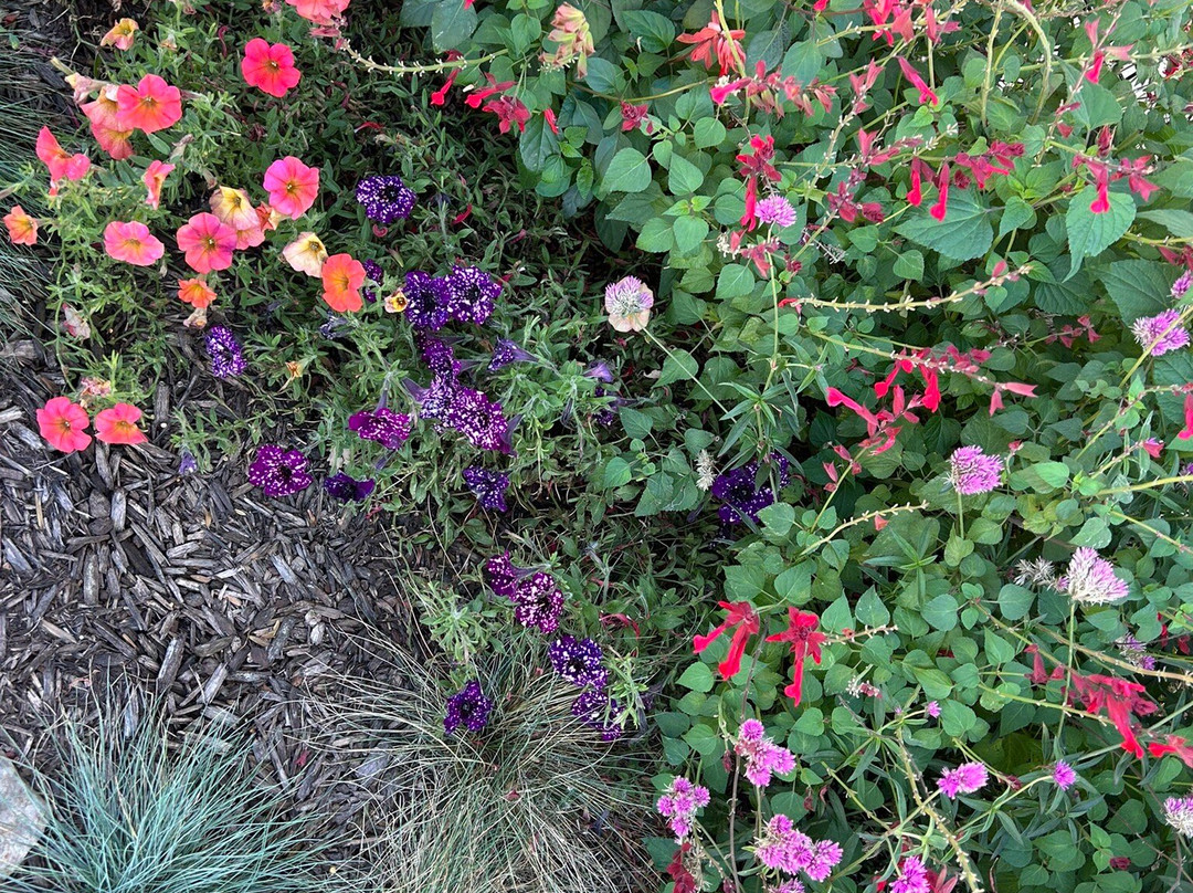 Timbavati Wildlife Park-威斯康星峡谷必去景点