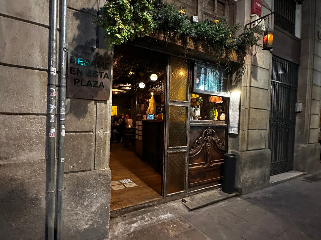 Thrills Day Tours by 3els-巴塞罗那必去景点