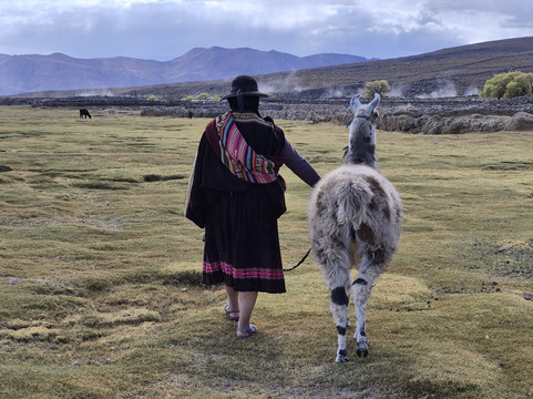 Bolivia Milenaria-拉巴斯必去景点
