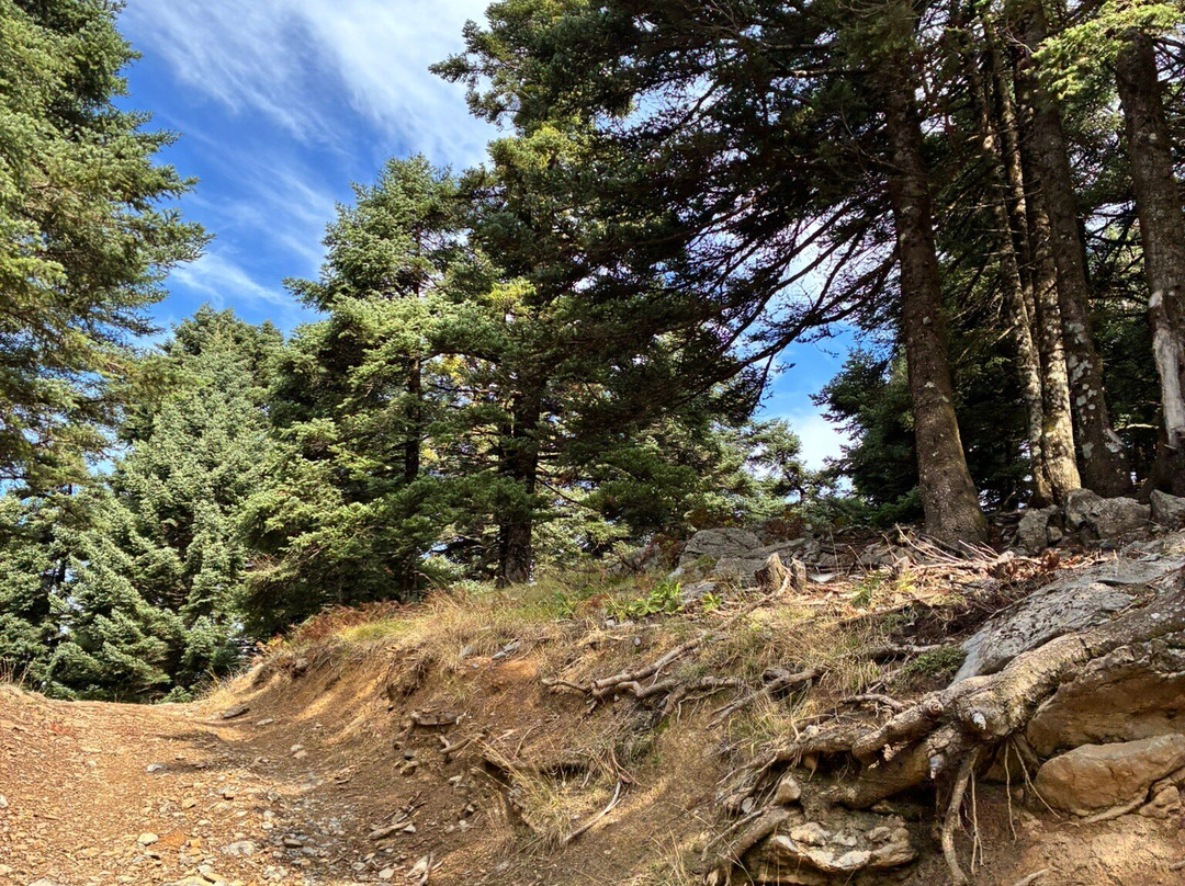 SAFARI TOUR IN EVIA ISLAND-Eretria必去景点