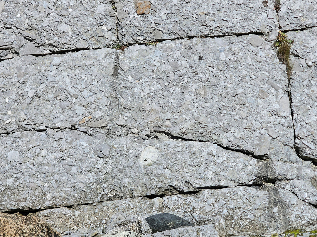 Green Point-Cow Head必去景点