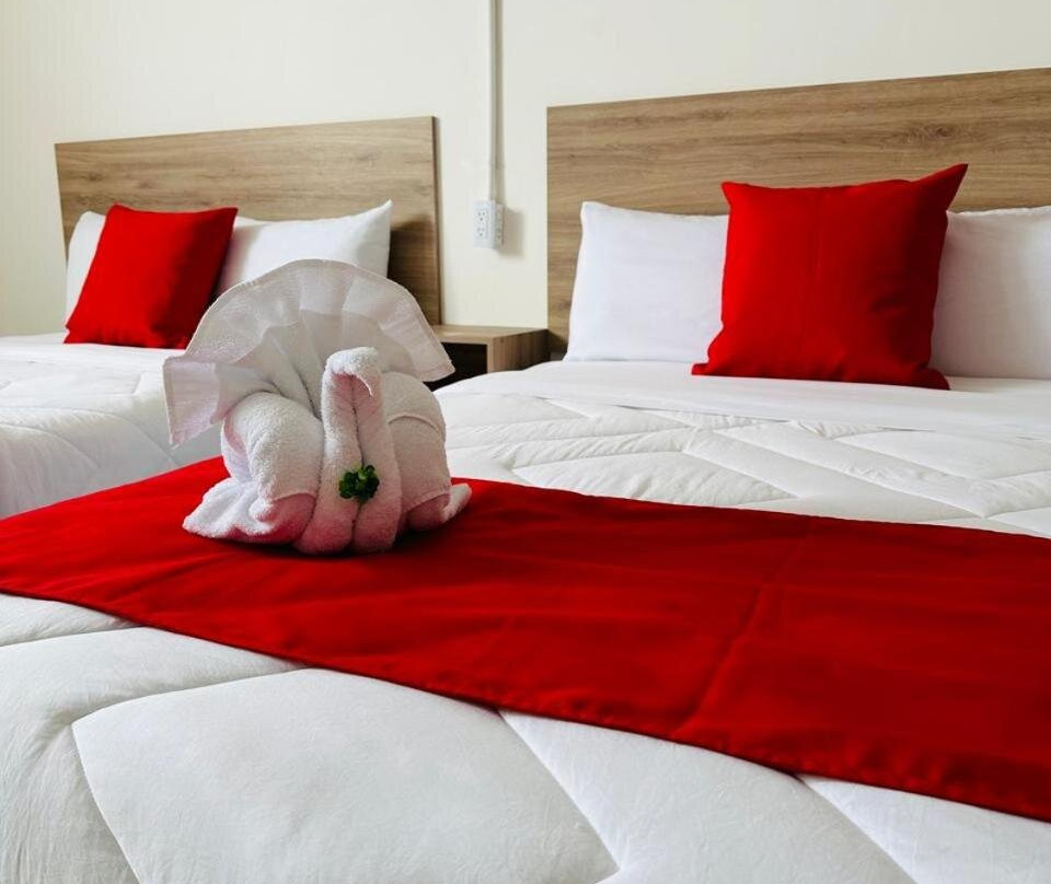 Hotel Plaza Centenario