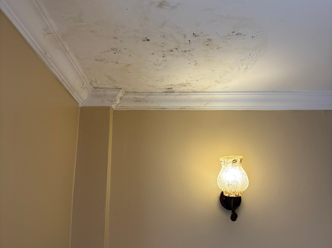 Tulia Boutique Hotel & Spa主图