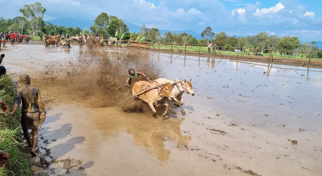 Erik Tour Bukittinggi-武吉丁宜必去景点