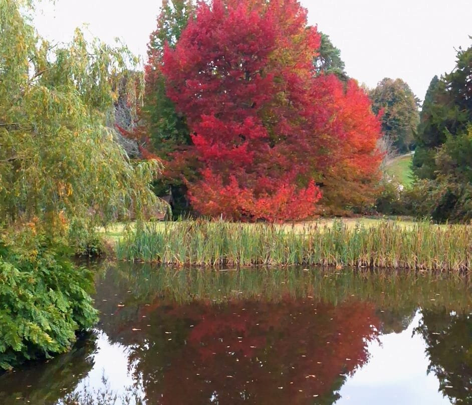 Scotney Castle-皇家滕布里奇韦尔斯必去景点