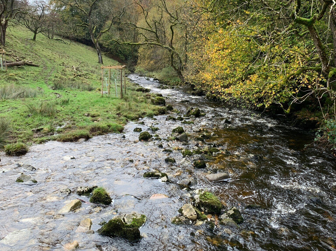 Ingleborough Cave-Clapham必去景点