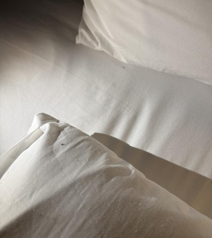 桑克图别墅主图