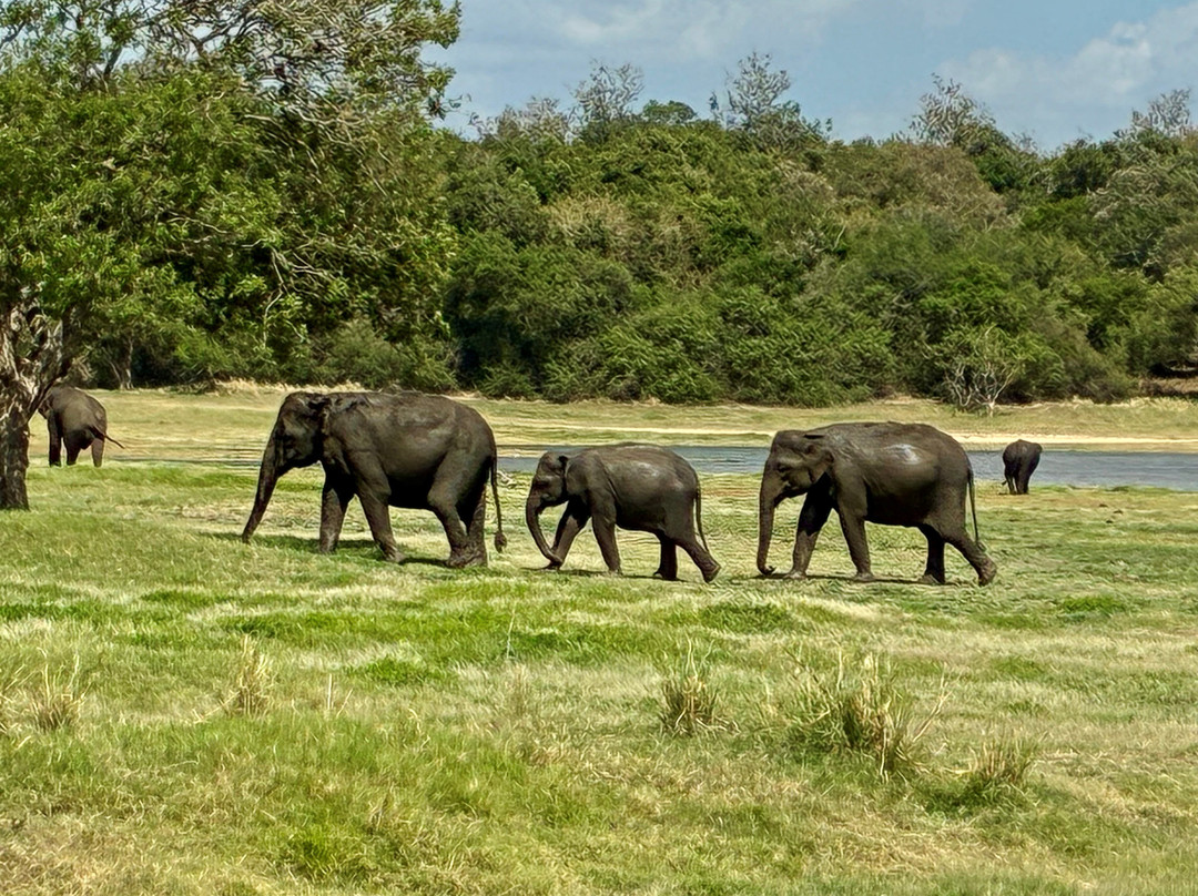 Pearl Of Sri Lanka Travel-科斯戈德必去景点