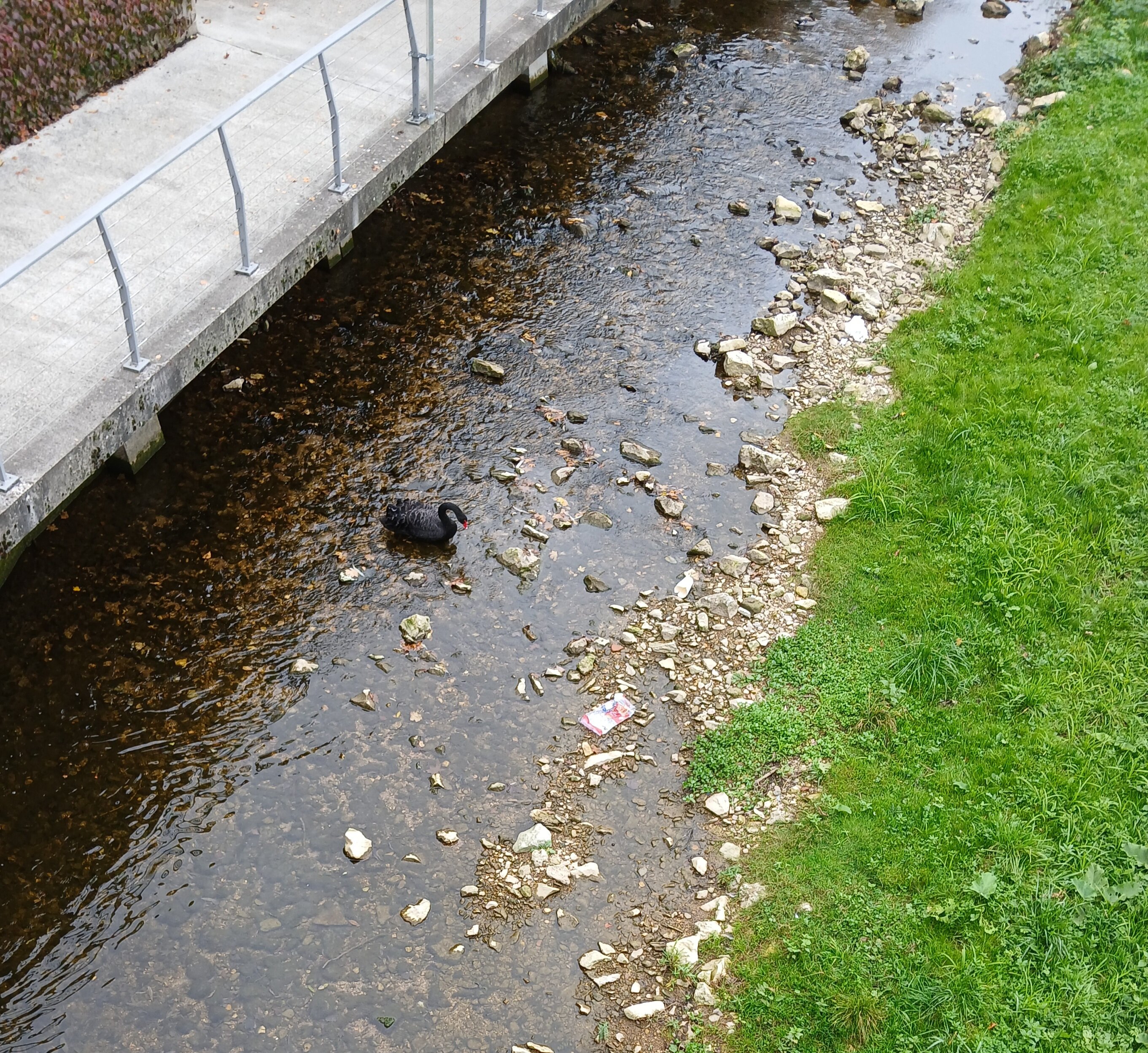 伊霍恩中心酒店-官方
