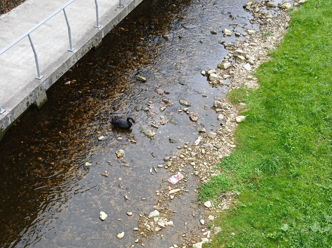 伊霍恩中心酒店主图