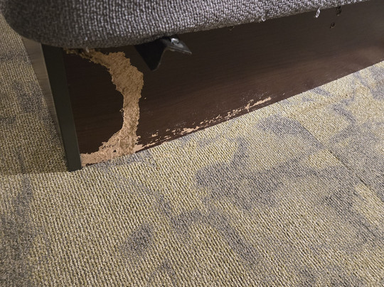 Hampton Inn Jacksonville-I-295 East/Baymeadows主图