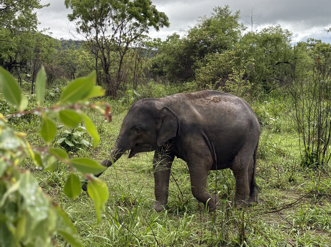 Kalum Jeep Safari-哈巴拉娜必去景点