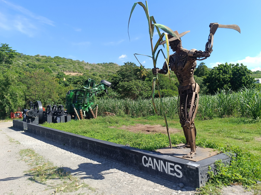 Neisson Distillery (Distillerie Neisson)-马提尼克必去景点