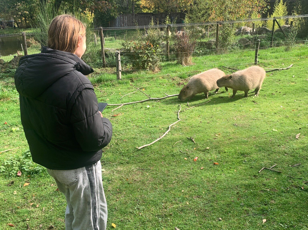 Parc Animalier d'Auvergne-Ardes必去景点