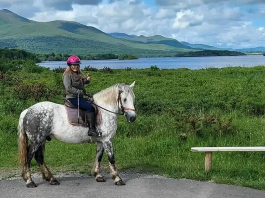 Killarney Riding Stables-基拉尼必去景点