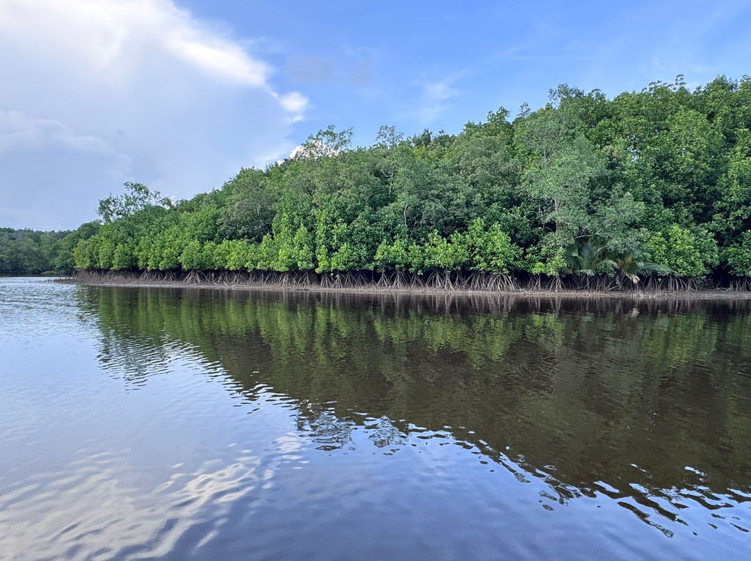 Cherating River-珍拉汀必去景点