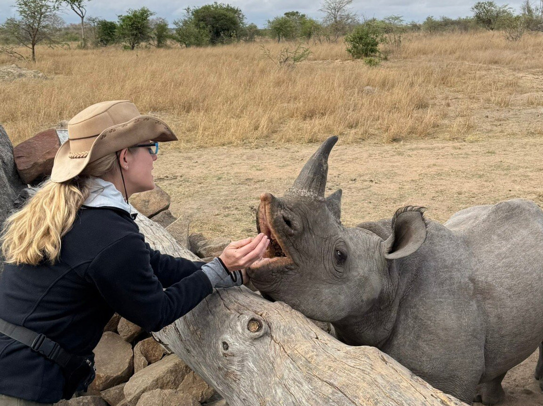 Imire: Rhino & Wildlife Conservation-韦扎必去景点