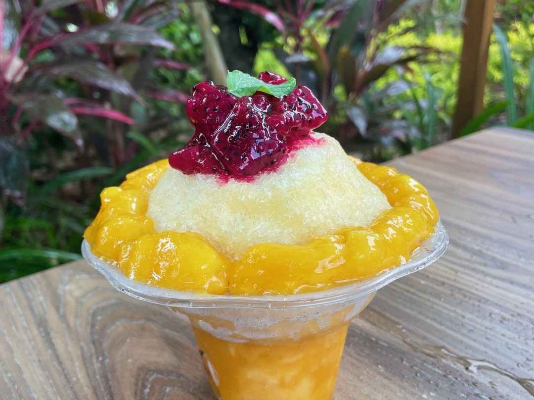 Junglia Okinawa-今归仁村必去景点