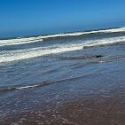 Horse Sidi Rahal-Sidi Rahal必去景点