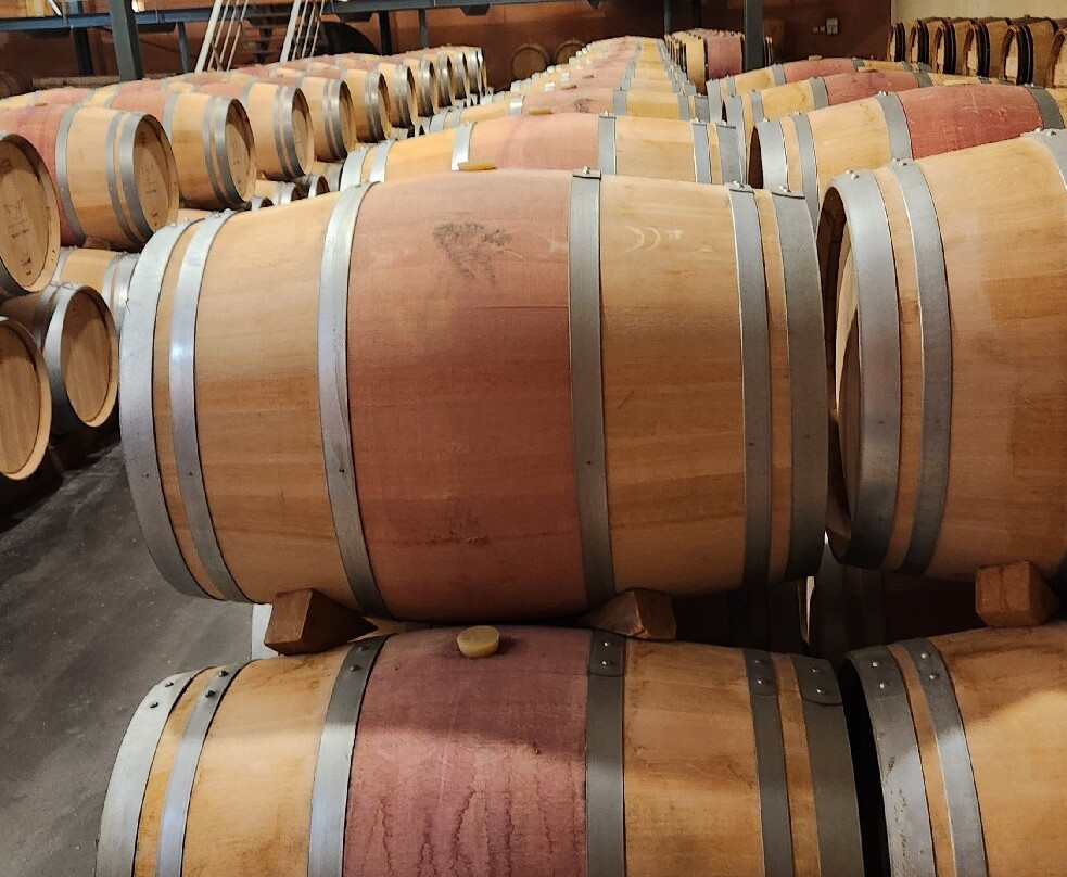 Chateau Paloumey-Ludon-Medoc必去景点