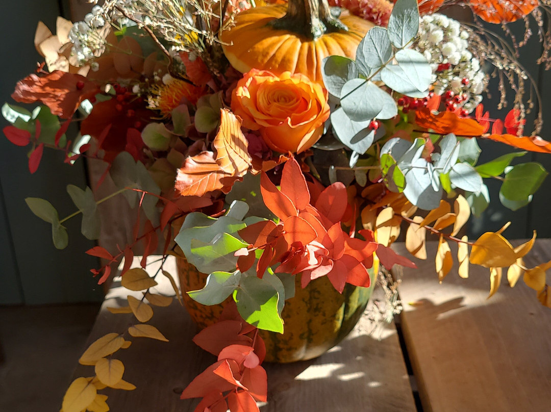 Les Fermes De Gally-圣西尔-莱科勒必去景点