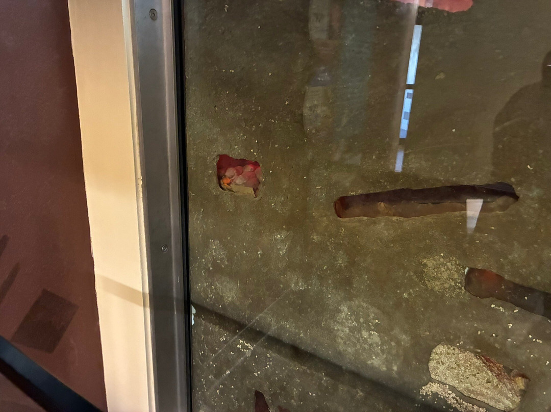 克利夫兰动物园-克利夫兰必去景点