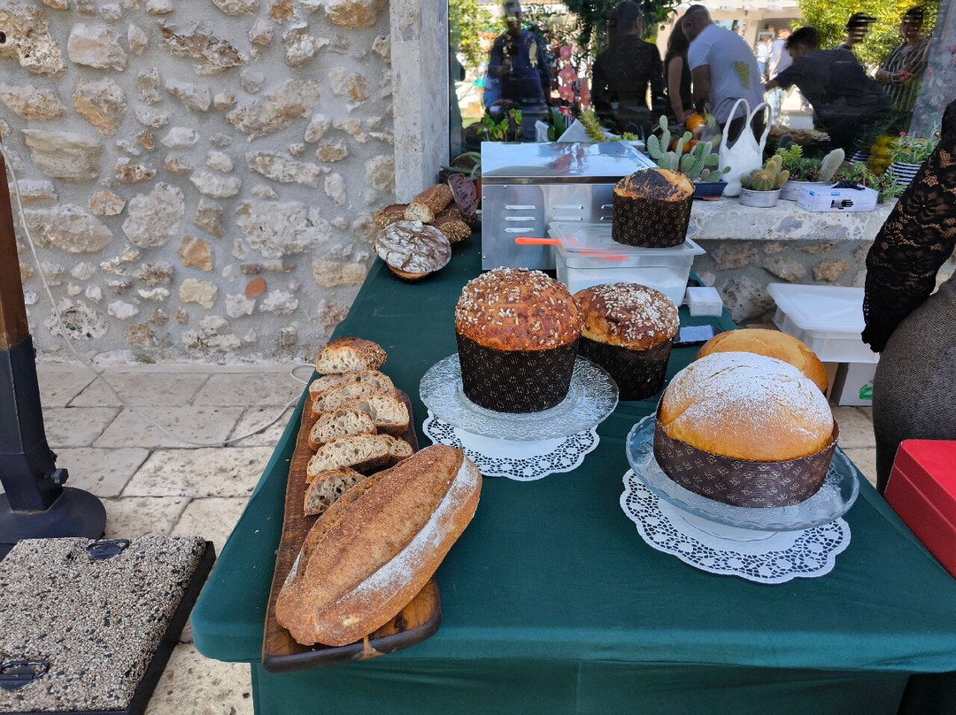 Terre di Zaccanello主图