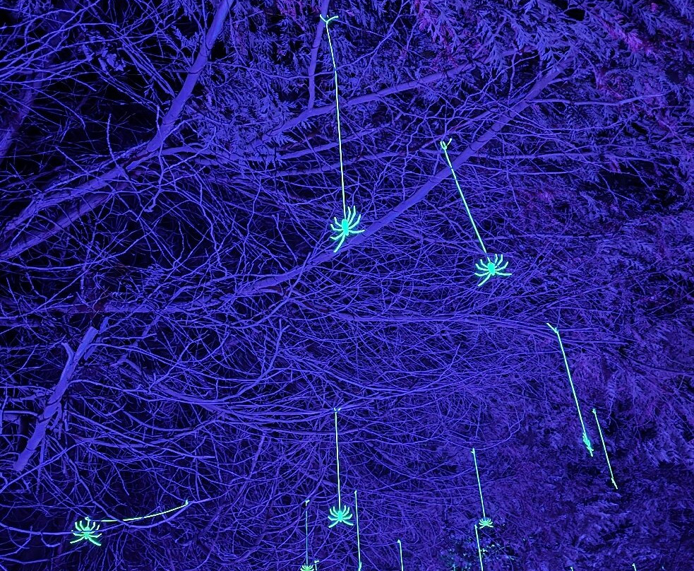 Traquair House & Brewery-Innerleithen必去景点