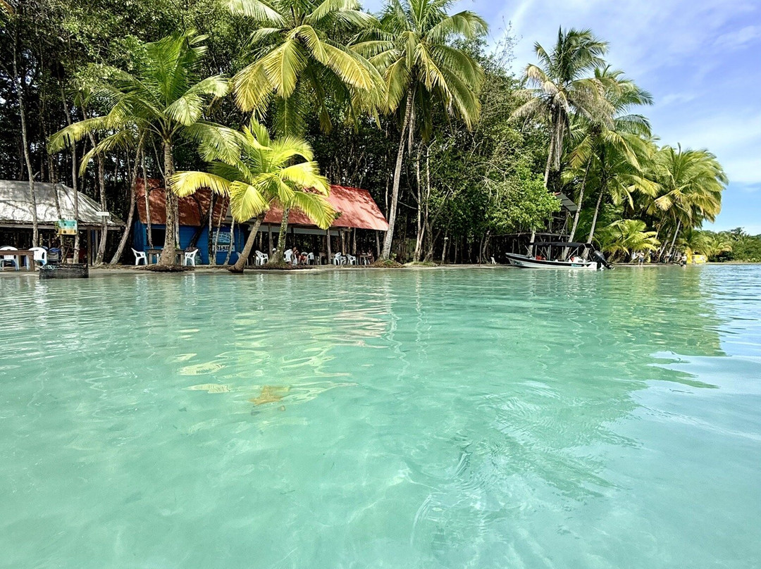 Starfish Beach-博卡斯镇必去景点