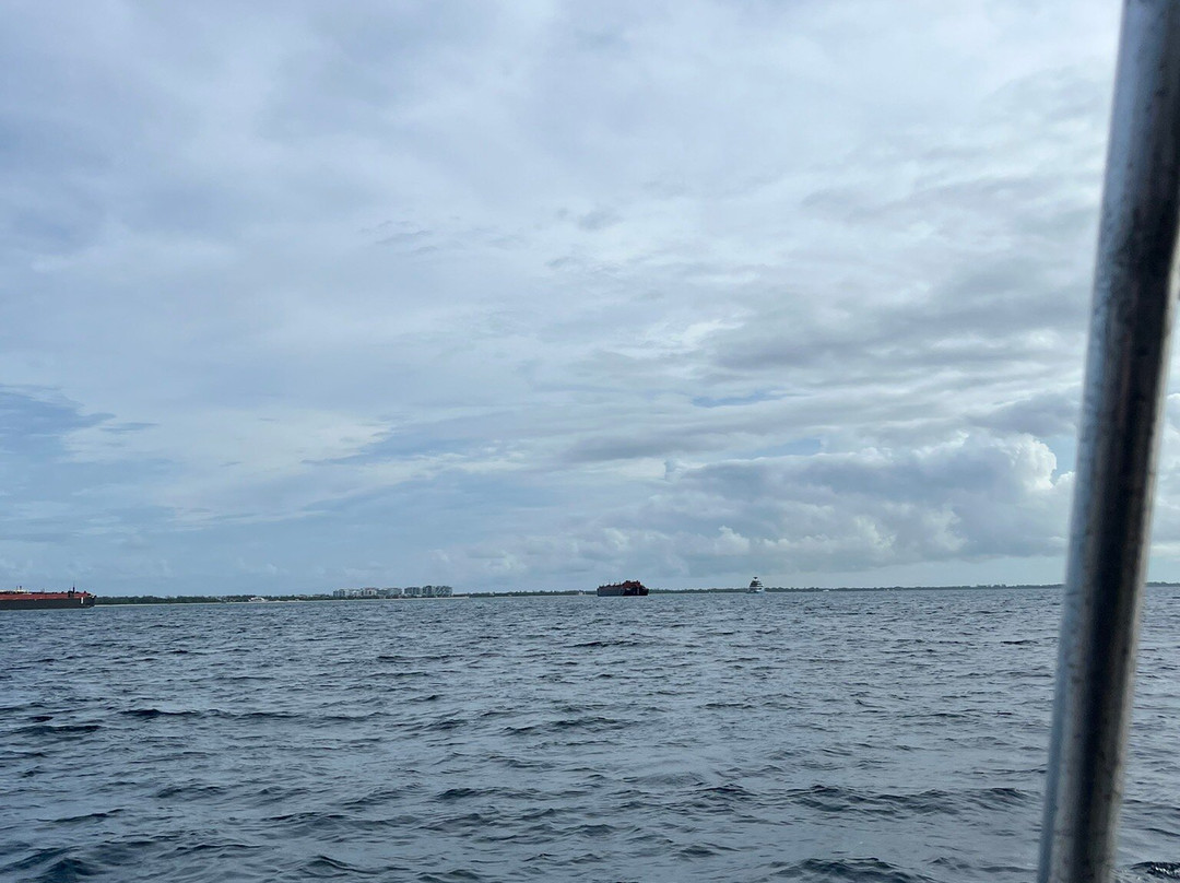 Stuart Cove's-拿骚必去景点