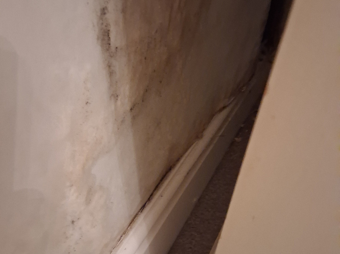 The Swan Hotel Whalley主图