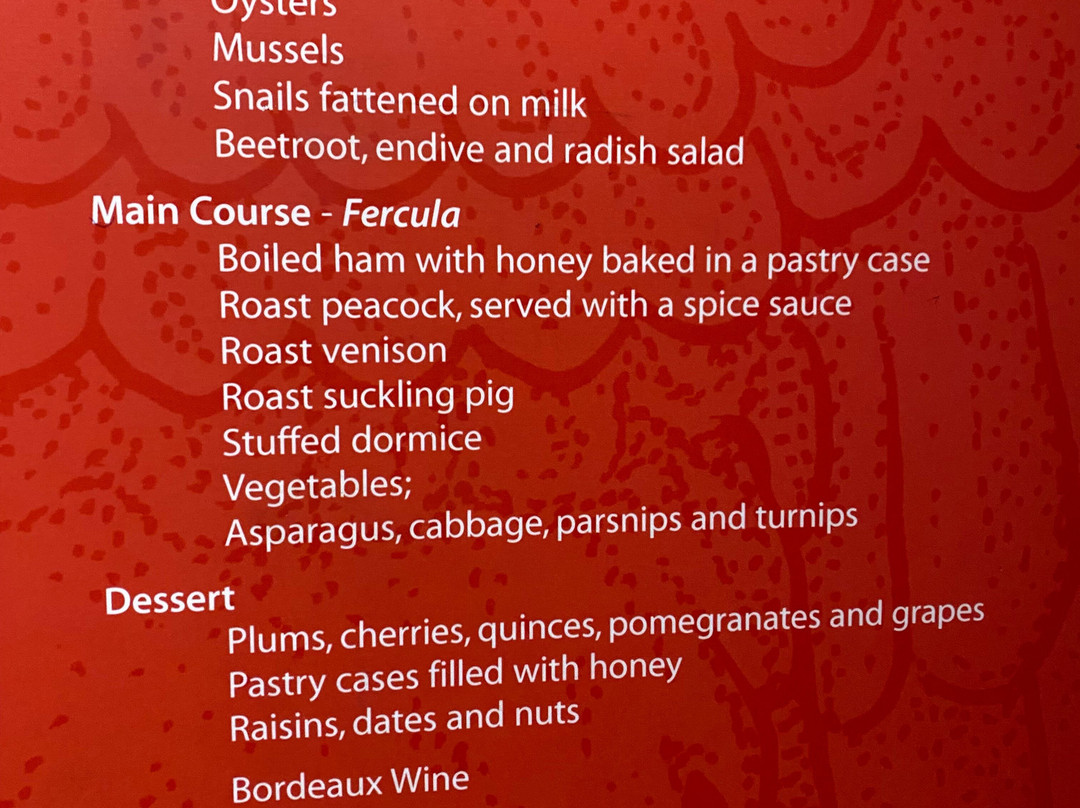 Corinium Museum-赛伦塞斯特必去景点