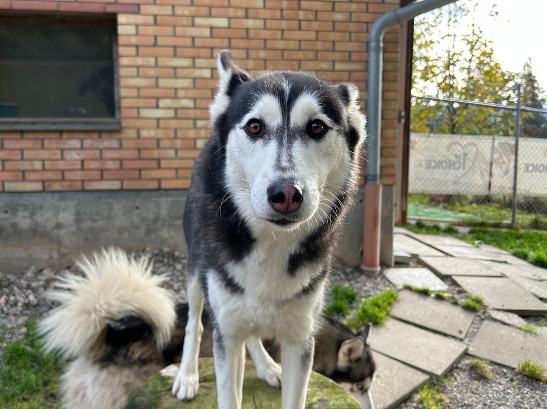 Fischer Adventures Day Tours-圣加仑必去景点