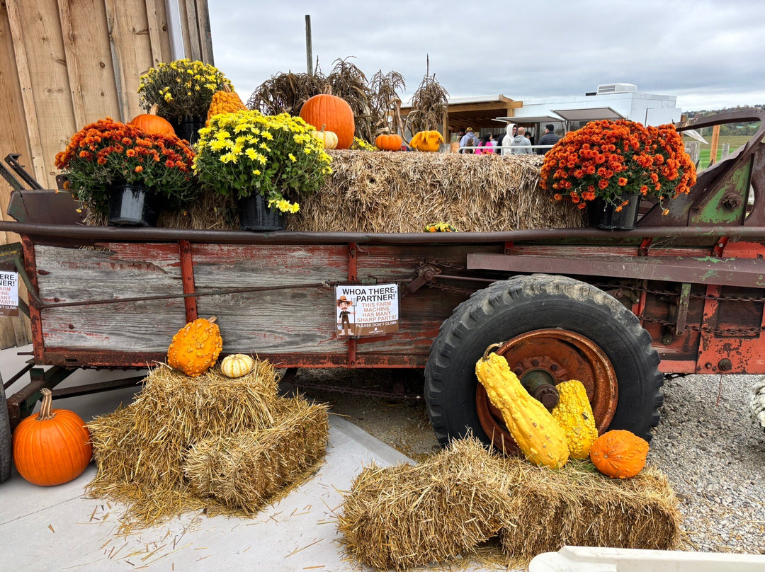 Maple Grove Farm-Mulmur必去景点