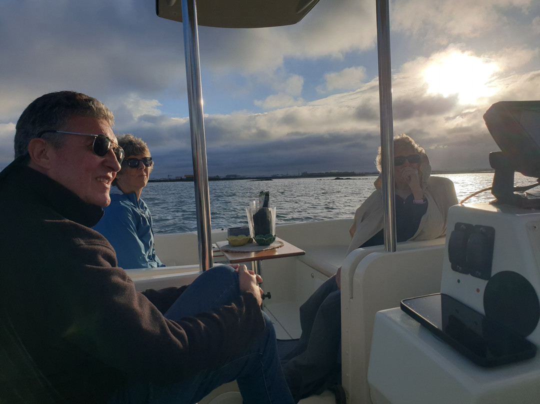 Sterna - Aveiro Ria Tours & Birdwatching-阿威罗必去景点