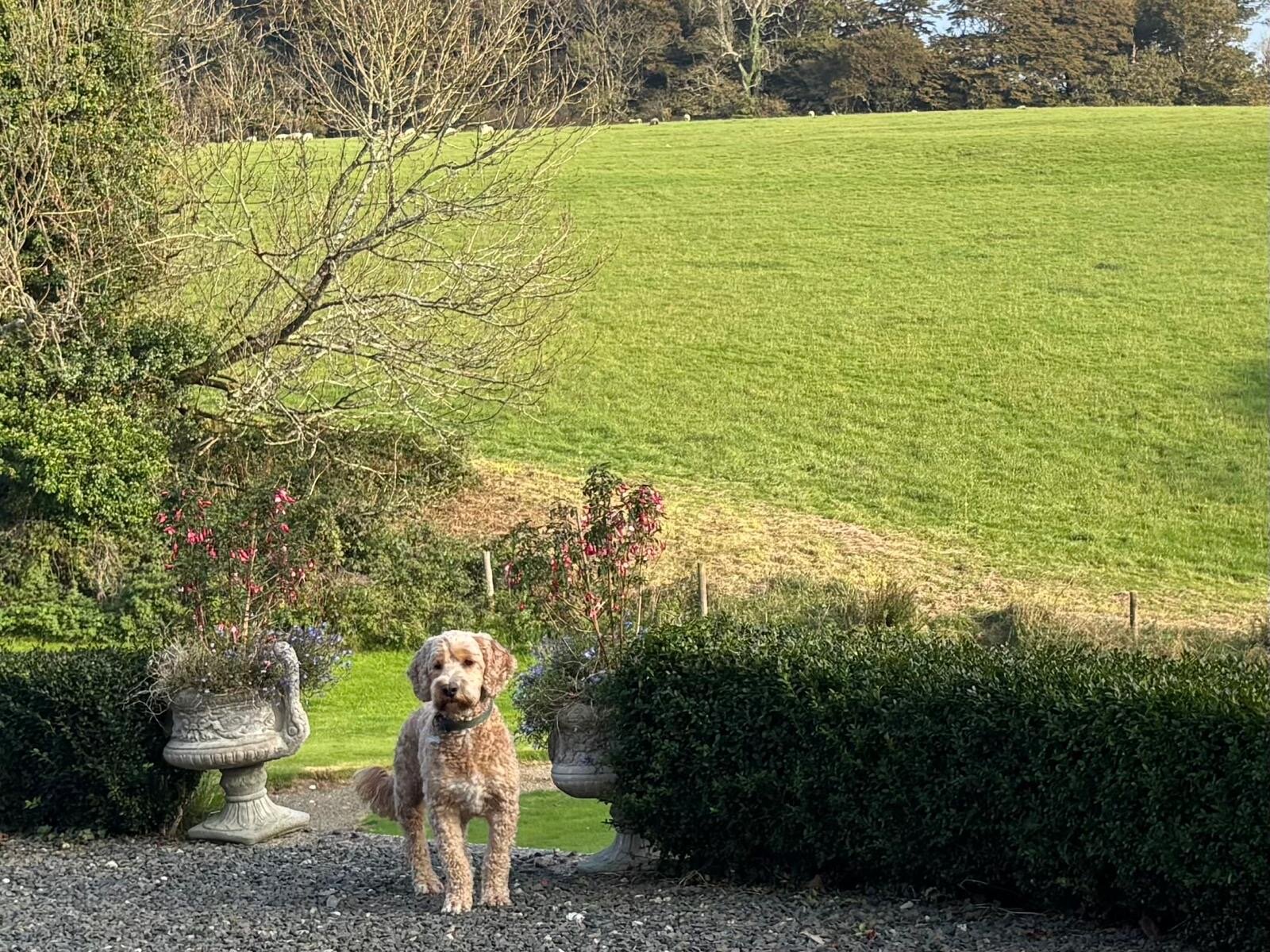 Costislost House B&b-官方