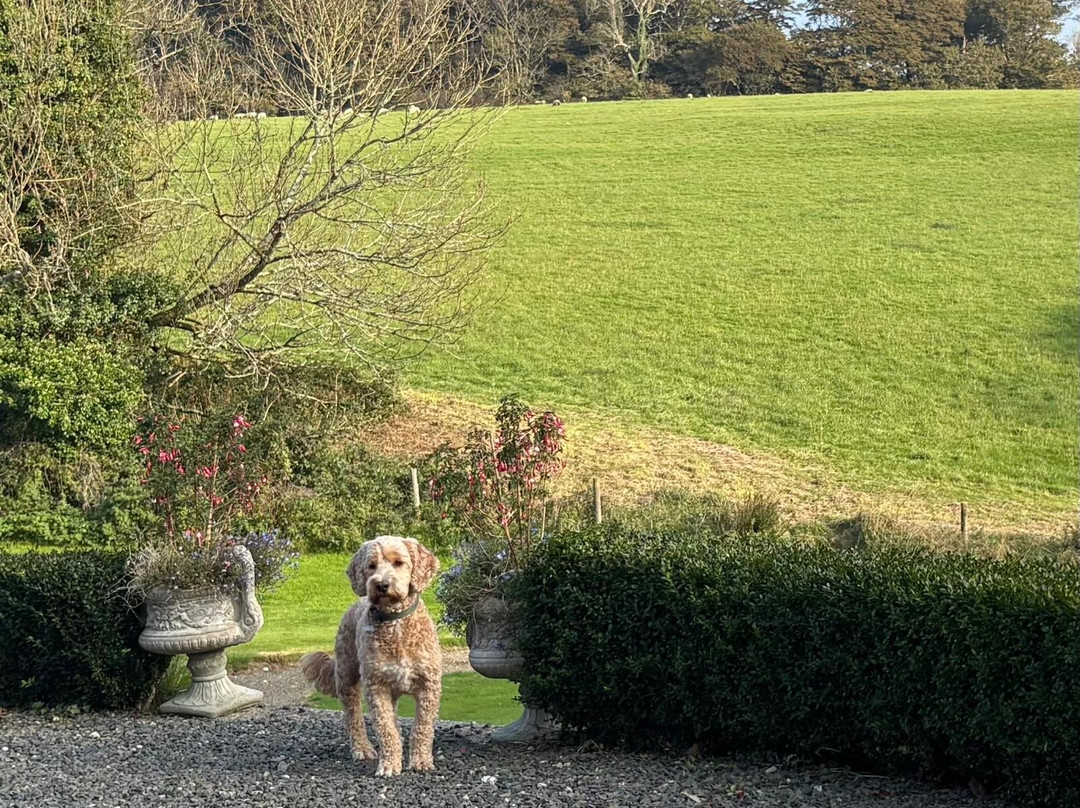 Costislost House B&b主图