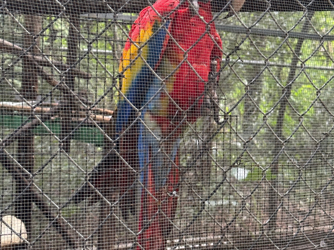 International Animal Rescue Costa Rica-诺萨拉必去景点