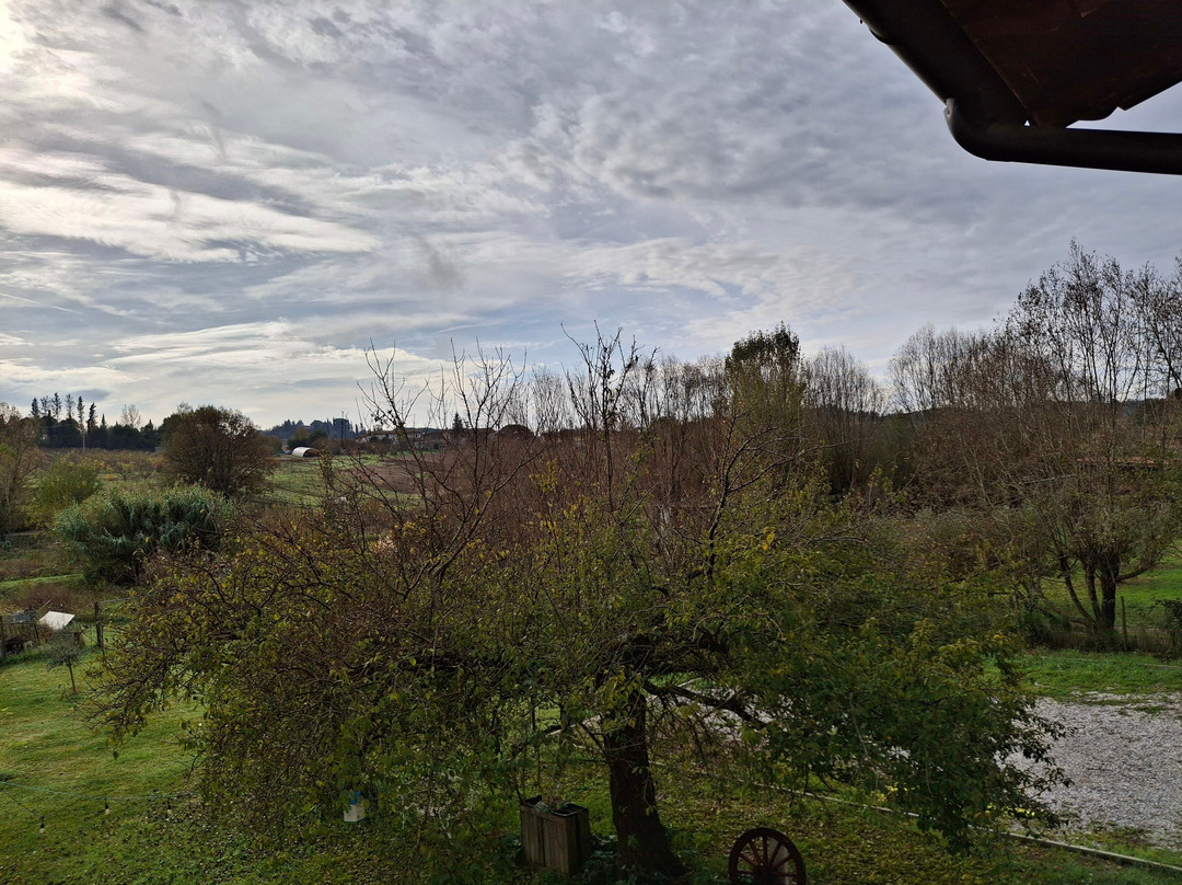 B&B Pane e Rose主图