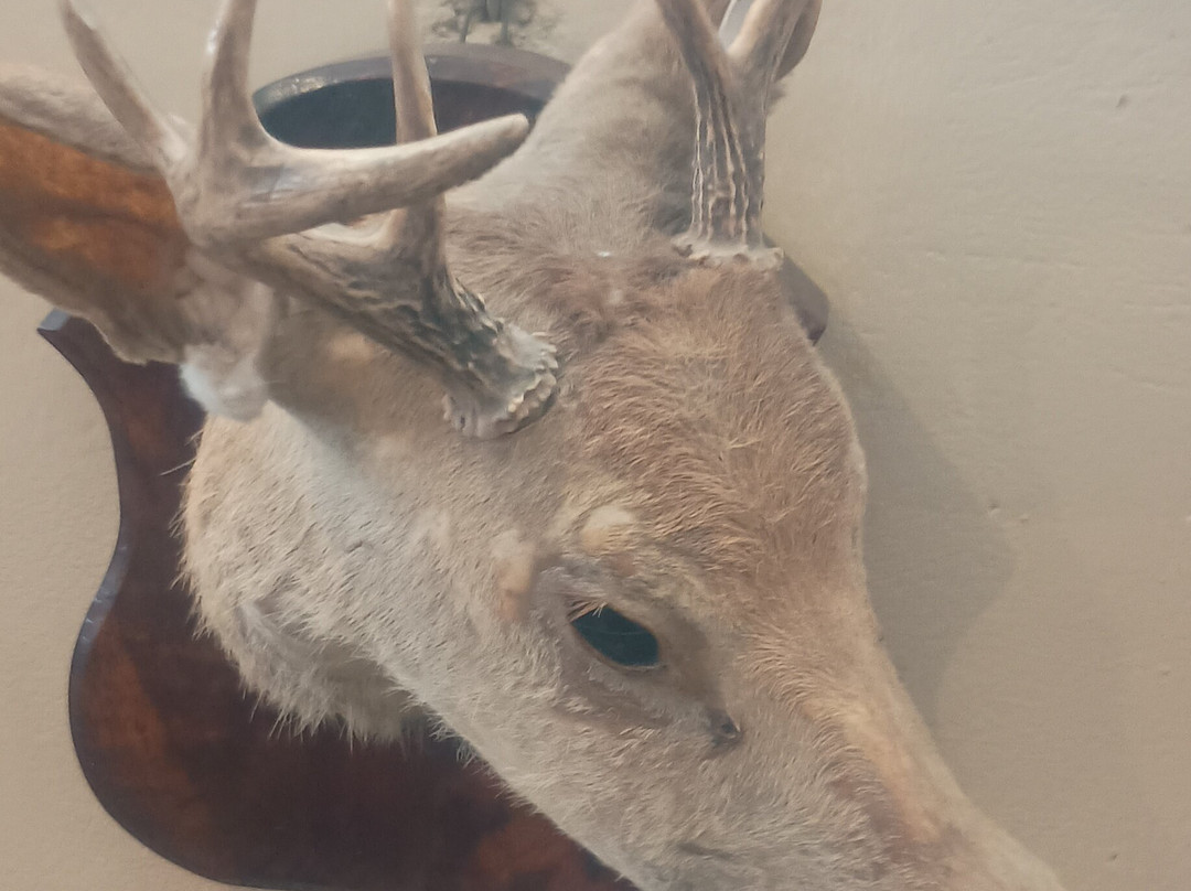 Castillo de Chancay-Chancay必去景点